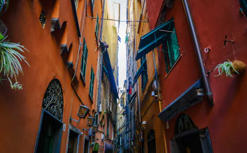 Narrow alleyway with colorful buildings in Genoa, Italy, part of a walking dinner tour.