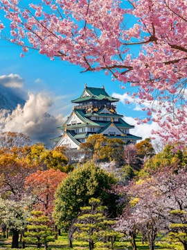 Osaka Castle surrounded by cherry blossoms with Mount Fuji in the background, Japan.
