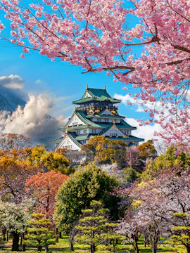 Osaka E-Pass
