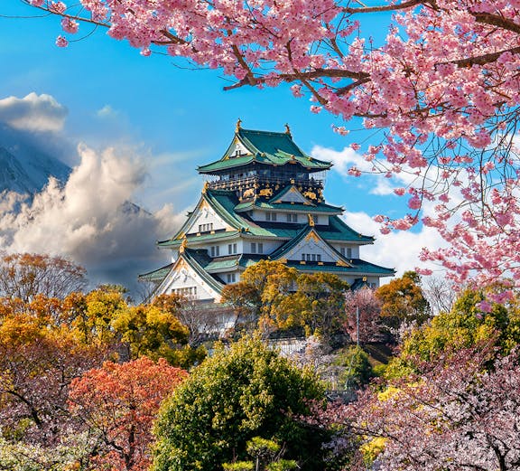 Osaka Castle surrounded by cherry blossoms with Mount Fuji in the background, Japan.