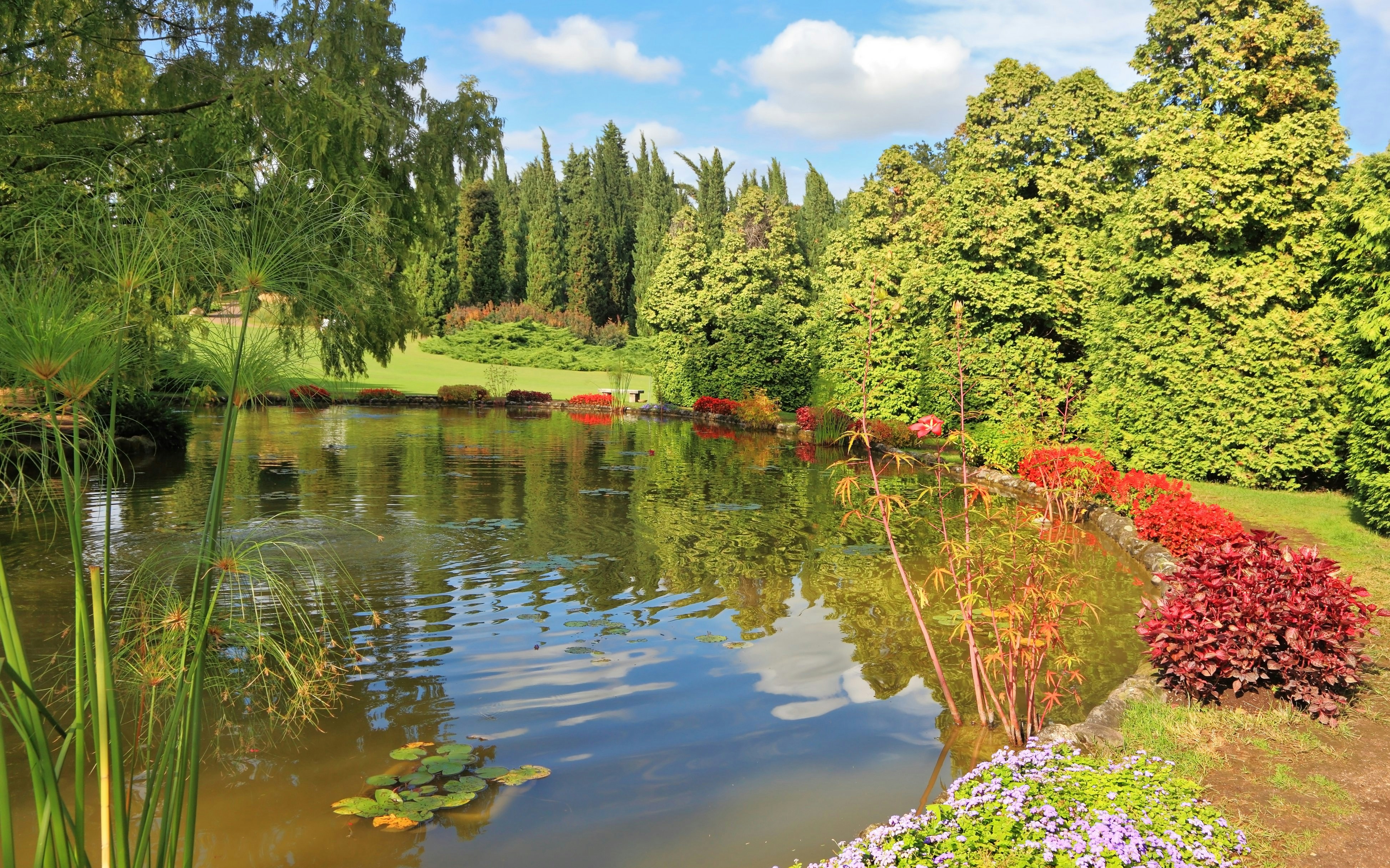 Bushes with red flowers by a pond at Sigurta Park, Italy.