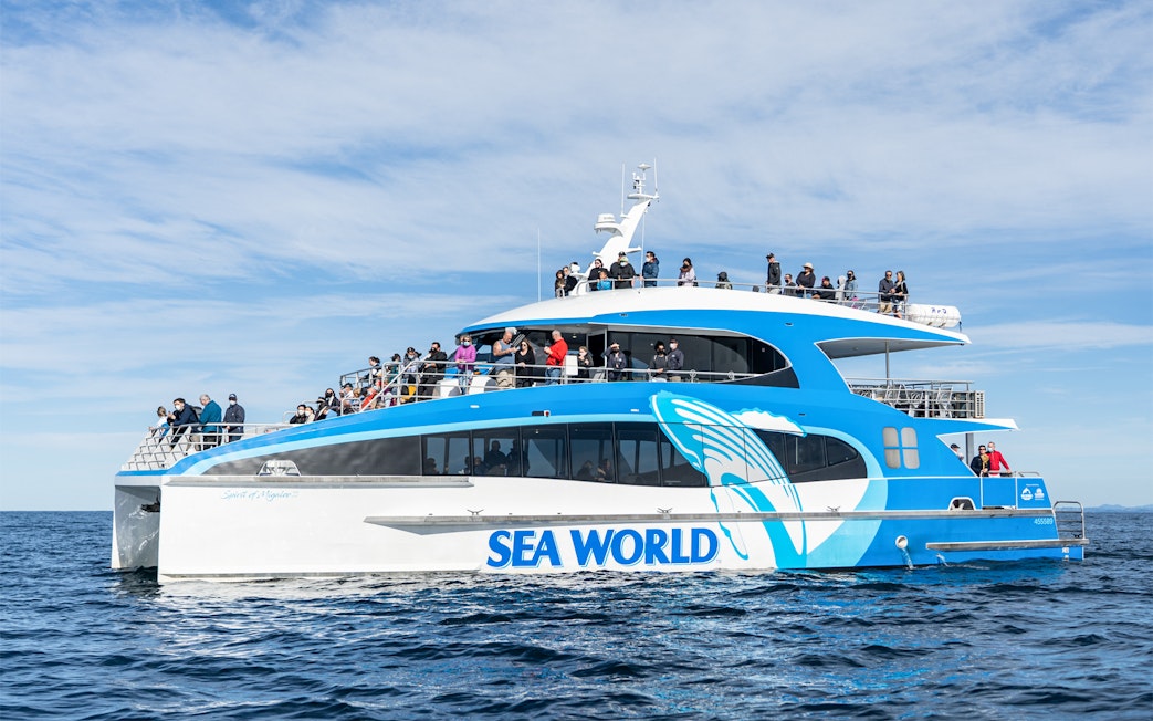 Whale watching cruise boat on Gold Coast with passengers on deck.