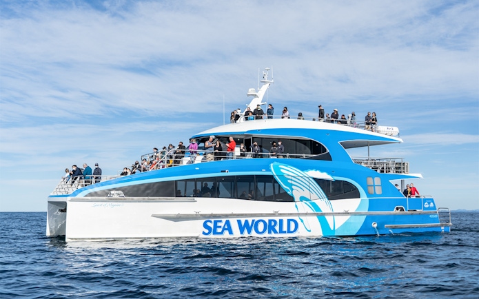 Whale watching cruise boat on Gold Coast with passengers on deck.