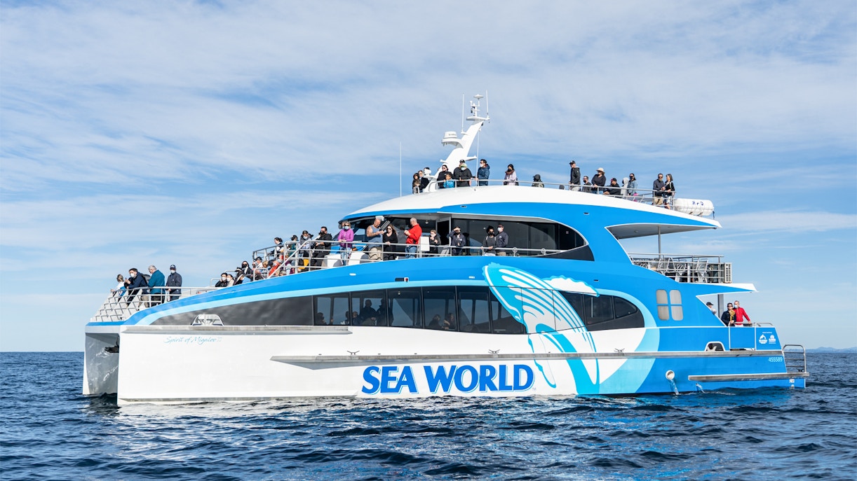 Whale watching cruise boat on Gold Coast with passengers on deck.