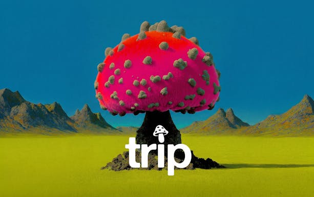 Surreal pink mushroom landscape with "trip" logo, Club Chinois, Ibiza.
