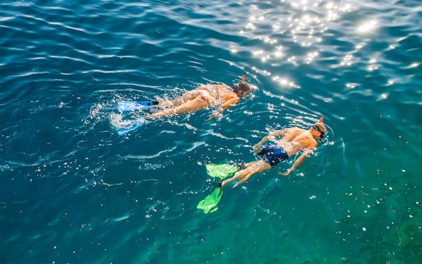 Snorkelers in clear water near Figarolo Island during dolphin watching tour.