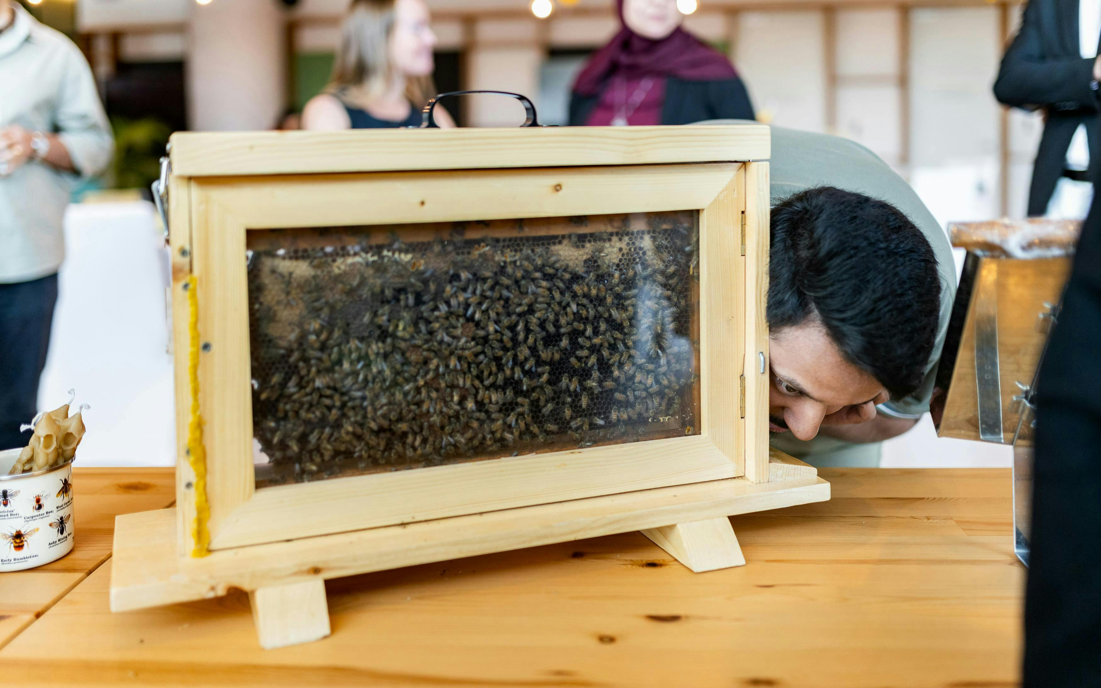 People observing a bee hive display at A Taste of the Hive, Expo City Dubai.