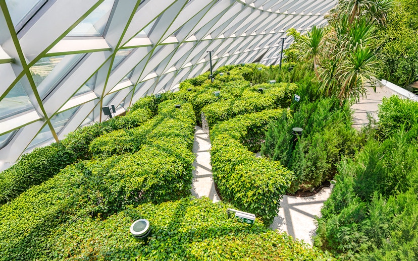 Hedge maze at Canopy Park, Jewel Changi, featuring lush greenery under a glass canopy.