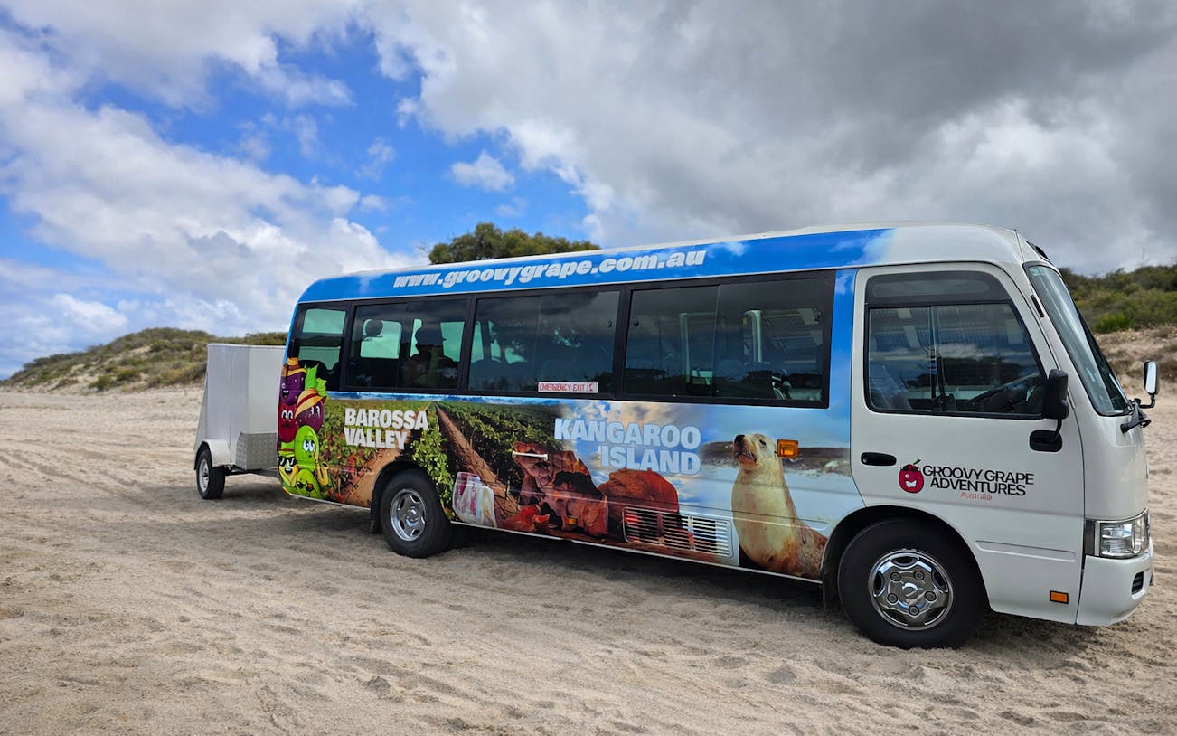 adelaide: kangaroo island 2 day 1 night wildlife adventure-3