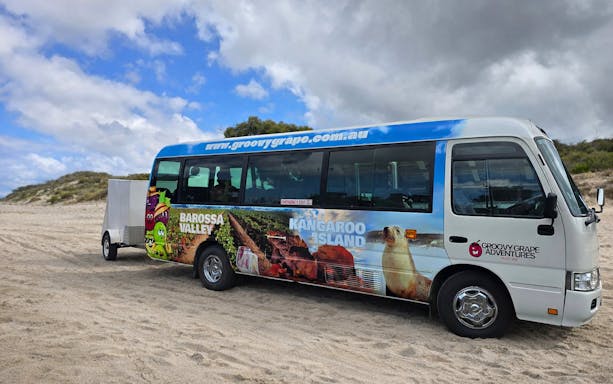 adelaide: kangaroo island 2 day 1 night wildlife adventure-3