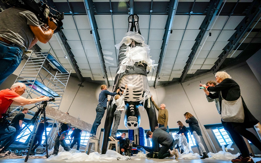 Visitors assembling a large human skeleton model in a museum exhibit.