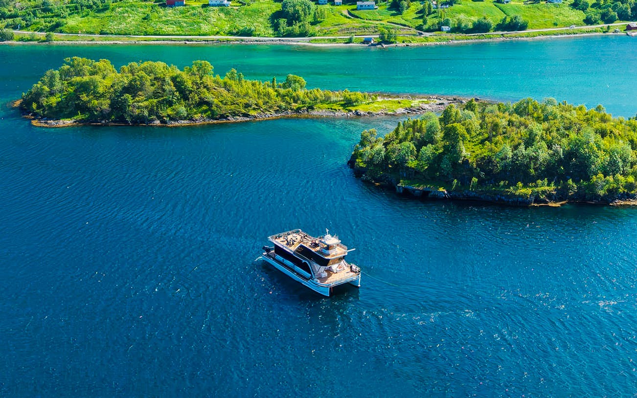 Cruise ship sailing through Arctic fjord with lush green islands.