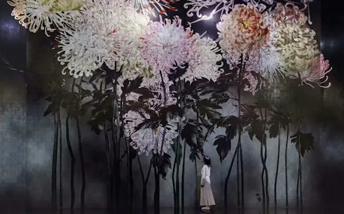 Immersive floral installation by teamLab in Kyoto's Silent Radiance Within exhibit.
