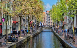 Red Light District