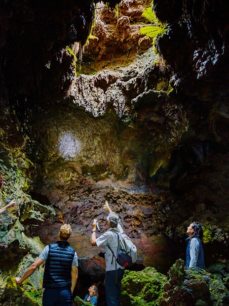 Guests exploring inside Hualalai Volcano on the Hidden Craters Hike.