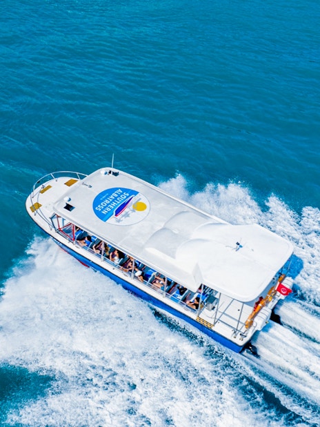 Speedboat Southern Albatross cruising in Singapore waters.