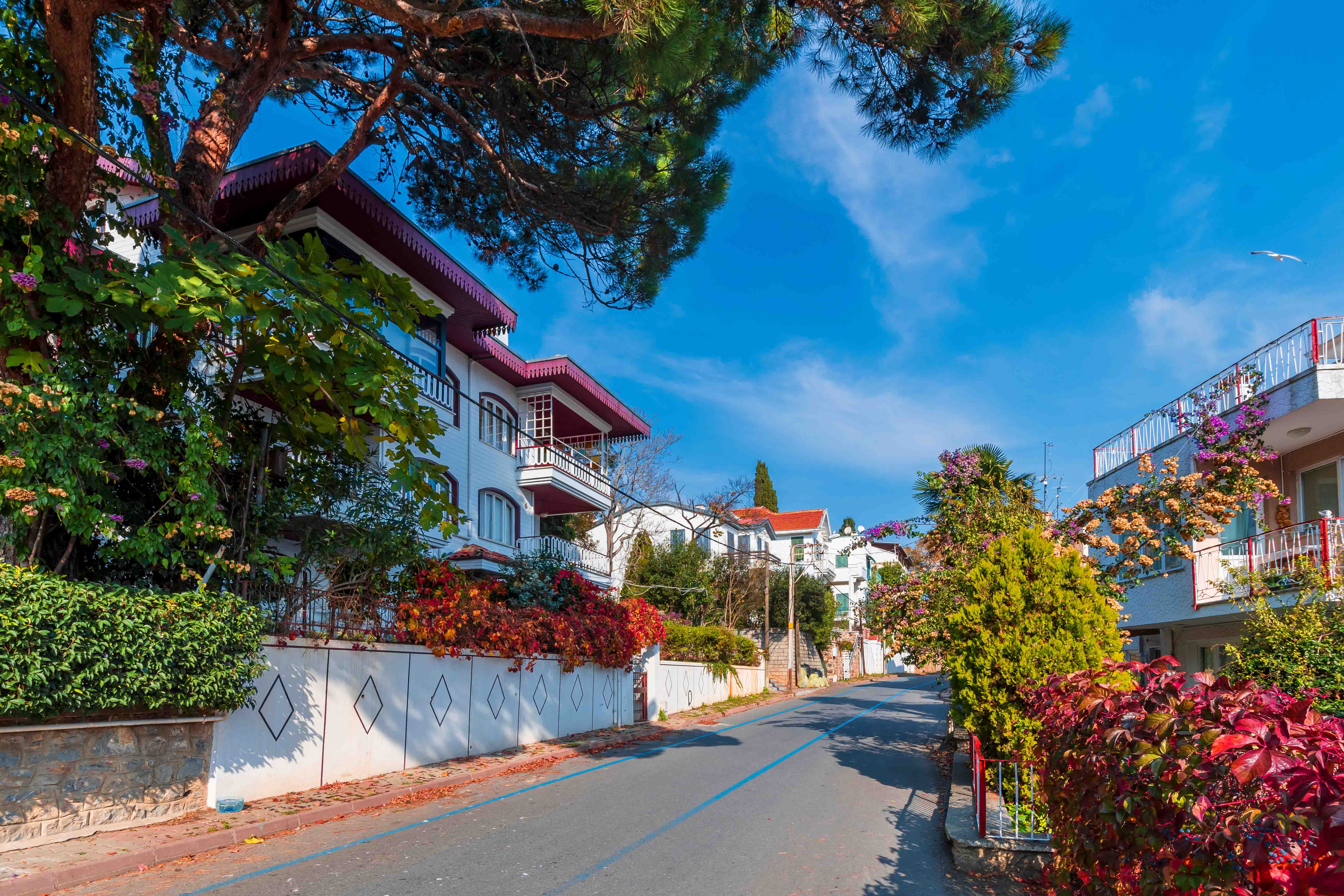 Kinaliada, Princes’ Islands