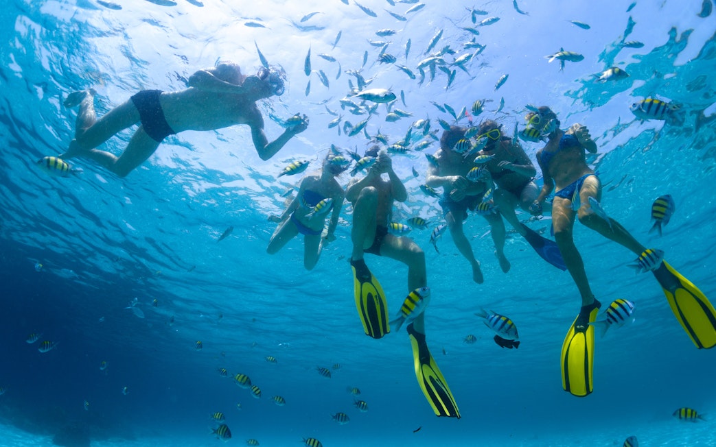 Scuba divers exploring coral reefs and fish in the Red Sea, Hurghada.