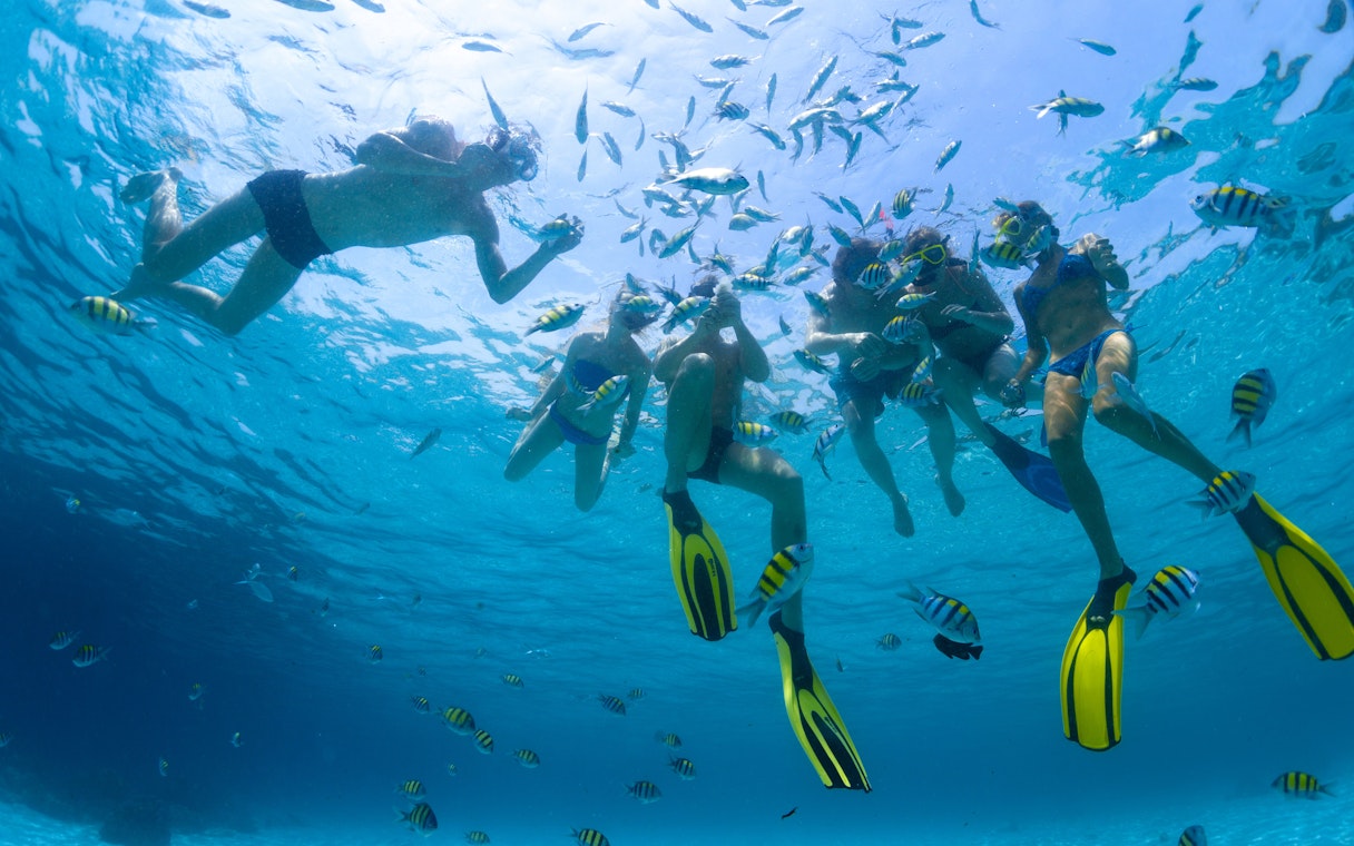 Scuba divers exploring coral reefs and fish in the Red Sea, Hurghada.