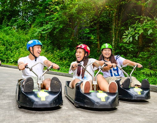 Family enjoying Skyline Luge ride in Singapore amidst lush greenery.