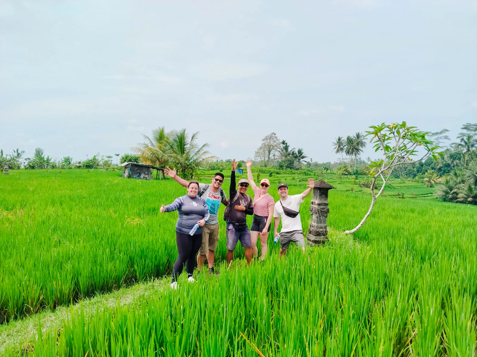 Ubud E-Bike Guided Tour to Tegallalang Rice Terraces Image 7