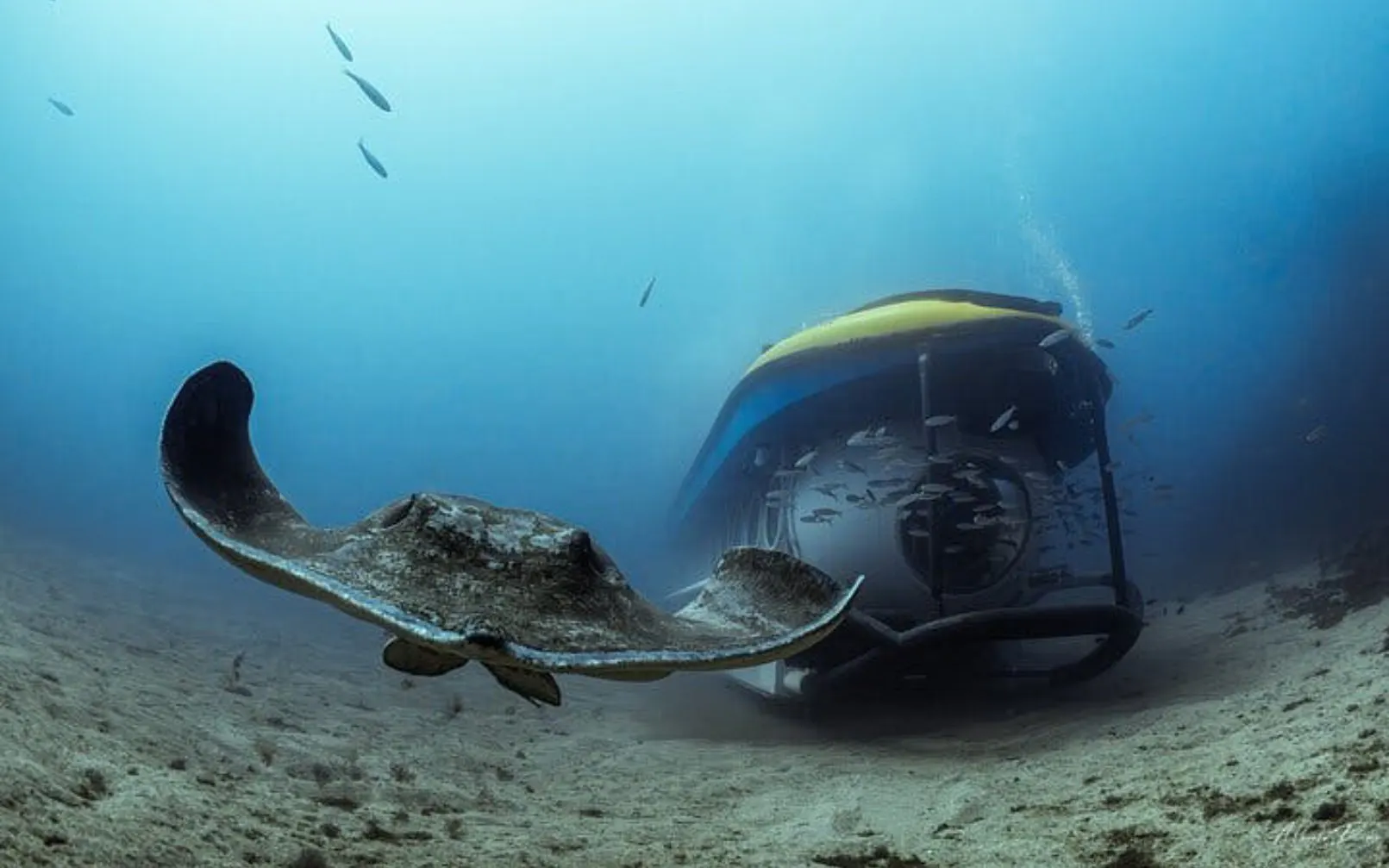 Submarine exploring ocean floor with stingray in Tenerife.