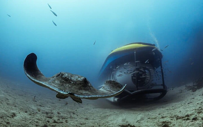 Submarine exploring ocean floor with stingray in Tenerife.