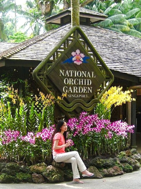 National Orchid Garden entrance with vibrant orchids, Singapore.