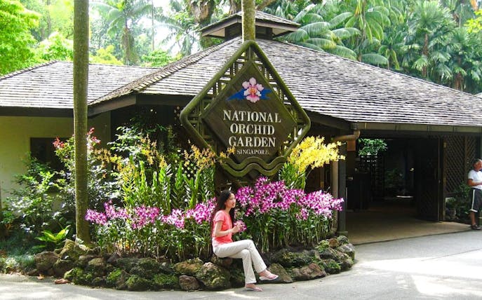 National Orchid Garden entrance with vibrant orchids, Singapore.