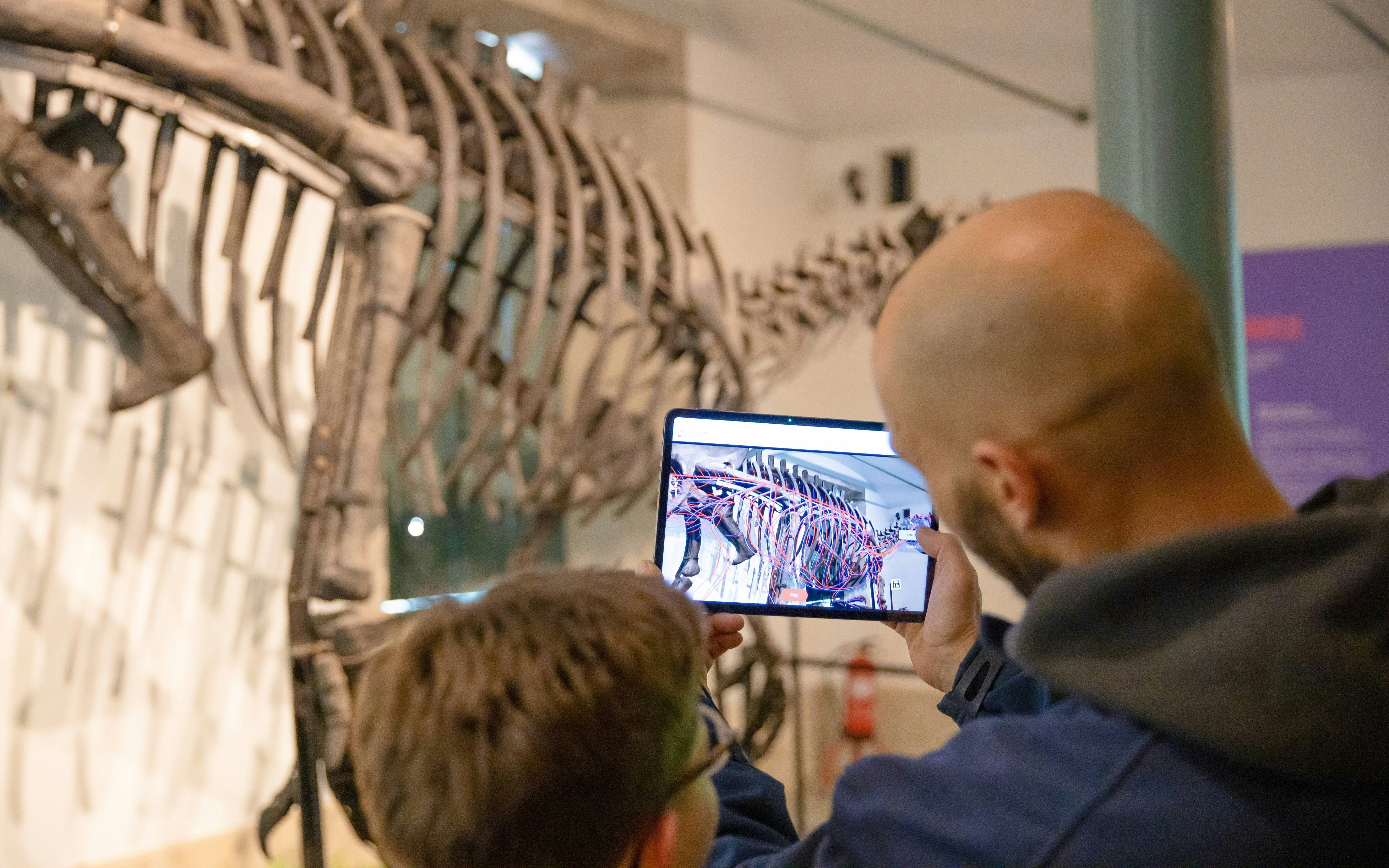 Kids viewing dinosaur skeleton at Immersive Dinosaur Exhibition, Dino Experience Porto.