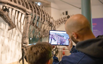 Kids viewing dinosaur skeleton at Immersive Dinosaur Exhibition, Dino Experience Porto.