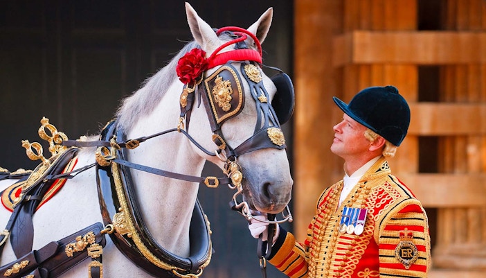 Buckingham Palace entrance with tourists exploring ticket options in London.