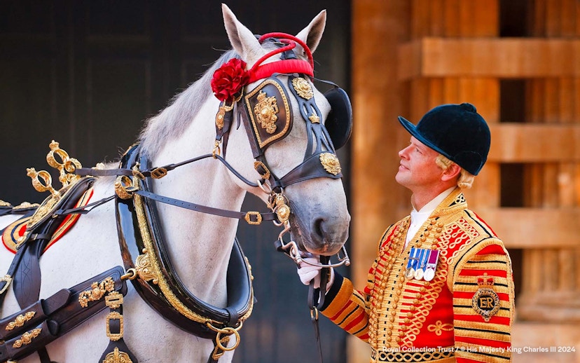 Royal guard with horse in ceremonial attire at Buckingham Palace.