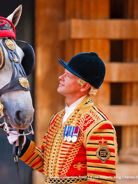 Royal guard with horse in ceremonial attire at Buckingham Palace.