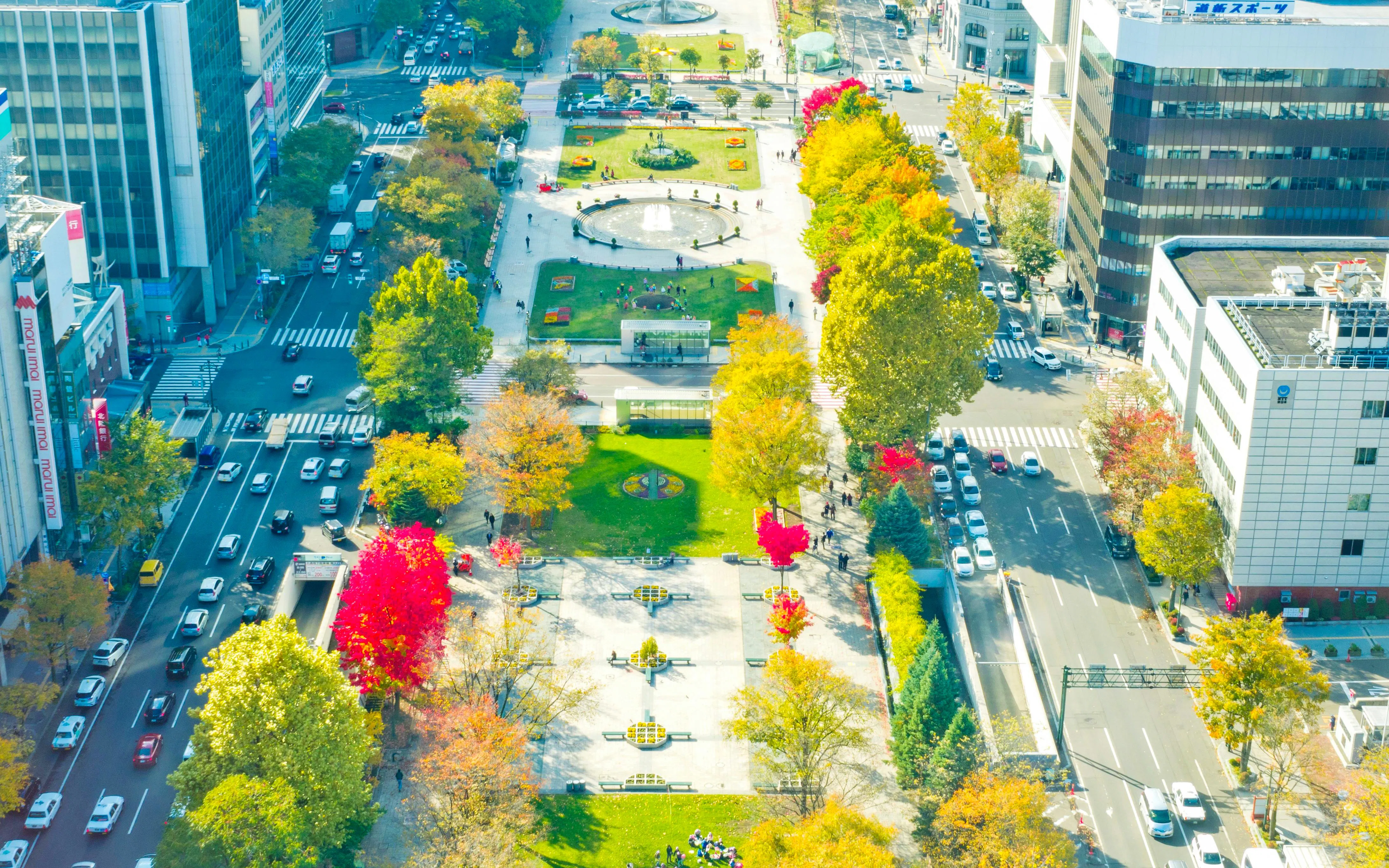 Odori Park and Sapporo cityscape viewed from Sapporo Tower, showcasing autumn foliage.