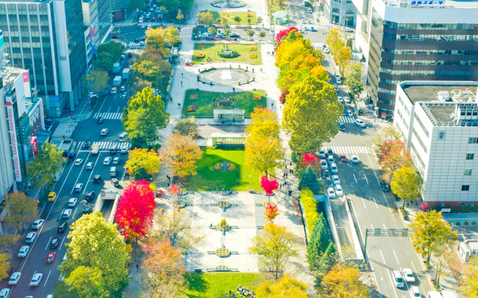 Odori Park and Sapporo cityscape viewed from Sapporo Tower, showcasing autumn foliage.