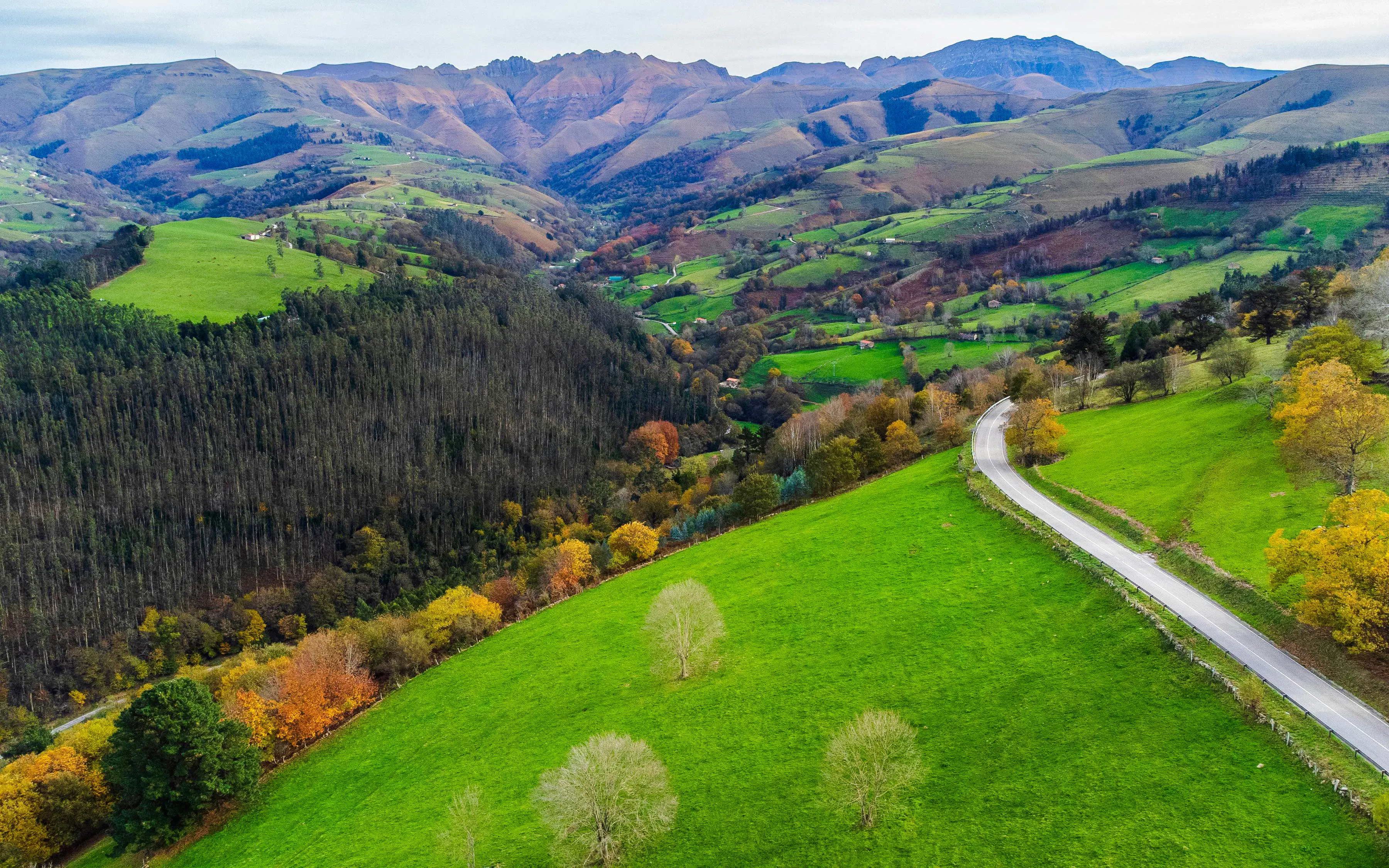 Campos de Pasiegos