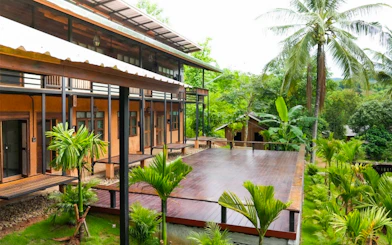 Lodge with wooden deck surrounded by lush greenery at Elephant Jungle Sanctuary, Chiang Mai.