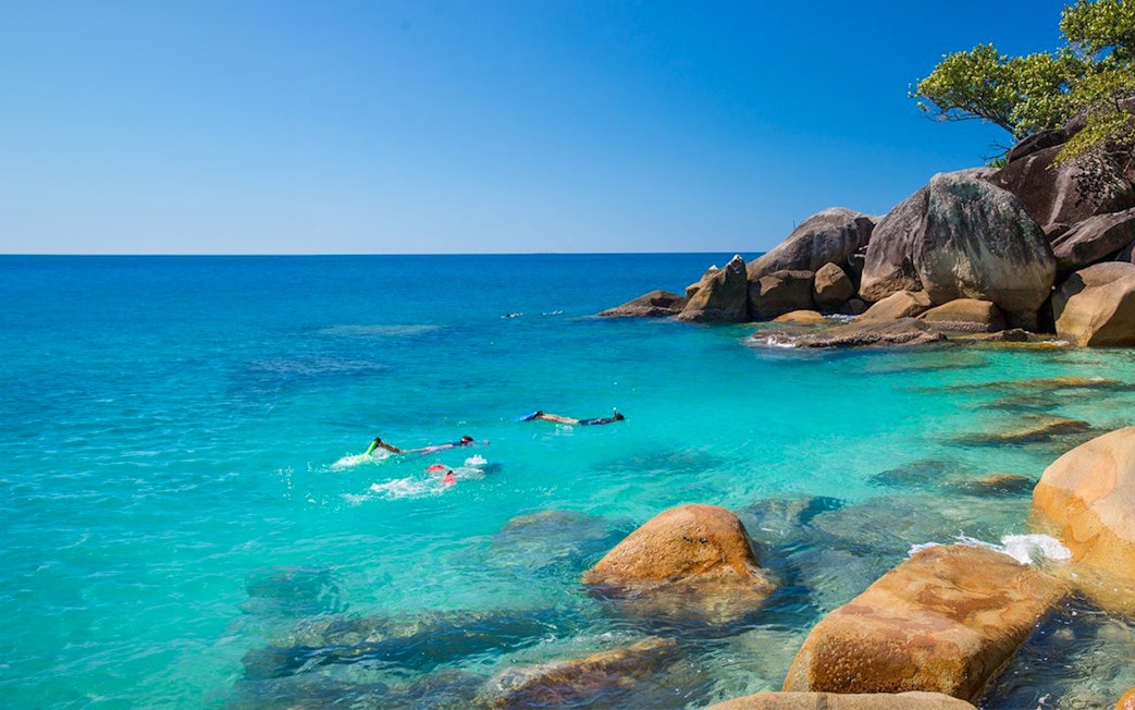 Snorkelers exploring clear waters near rocky shore on Fitzroy Island tour.