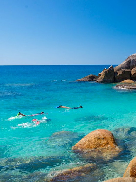 Snorkelers exploring clear waters near rocky shore on Fitzroy Island tour.