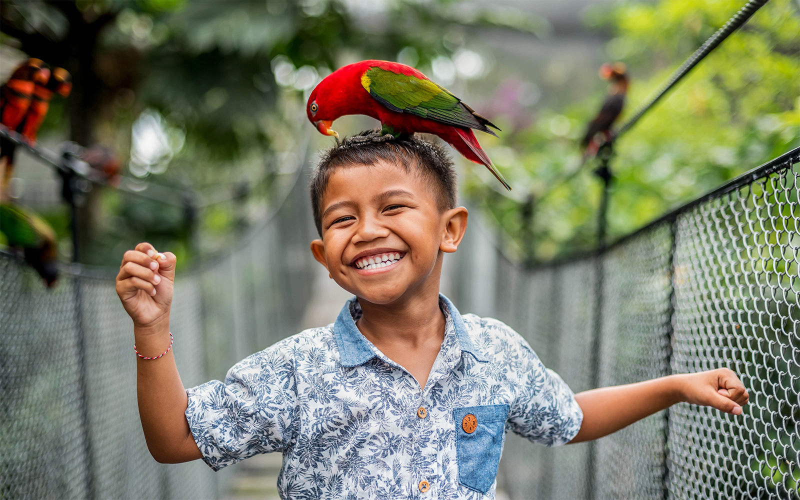 Boy smiling with a parrot on his head at Bali Bird Park.
