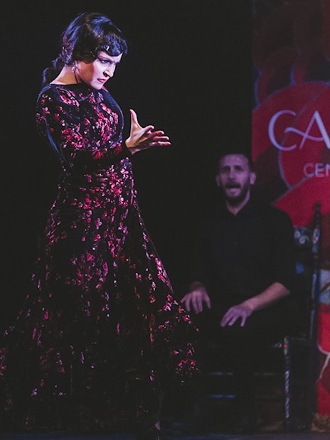 Flamenco dancer performing at Casa AnaFlamenco Show.