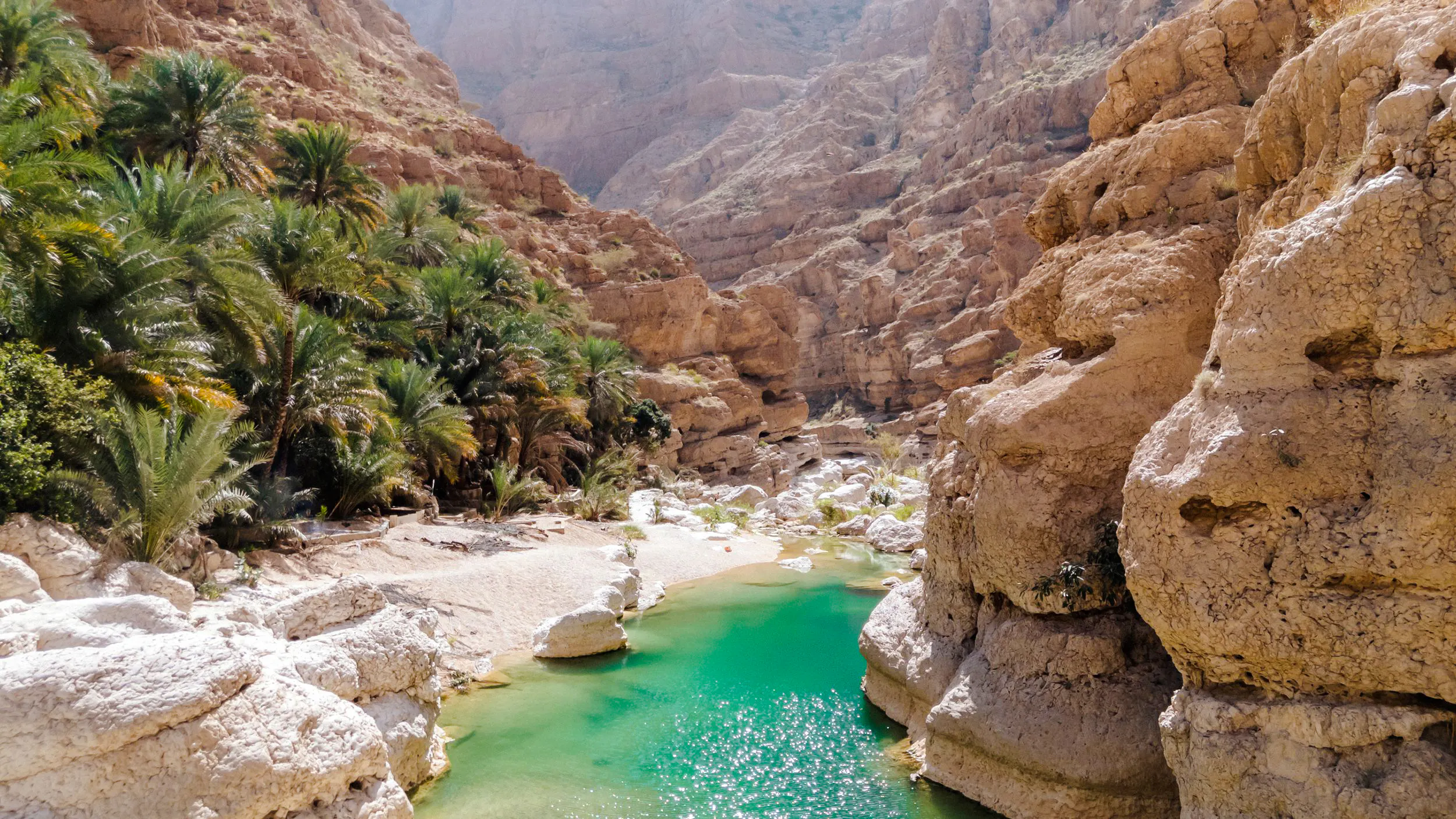 Wadi Shab canyon with turquoise water and palm trees, Oman.