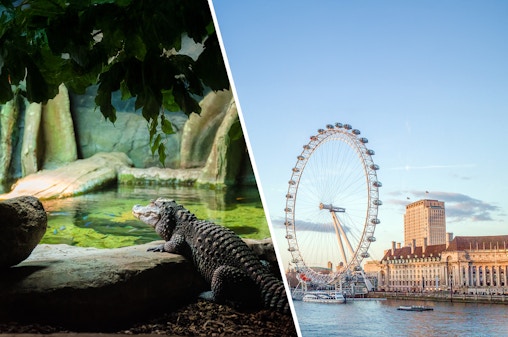 Combo (Save 10%): London Zoo + London Eye Tickets