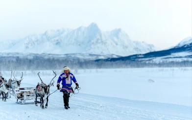 Reindeer Sledding & Sami Culture Guided Tour with Hot Drinks & Meal