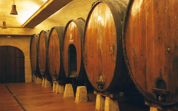 Cider barrels in a cellar during a guided tour from San Sebastian.