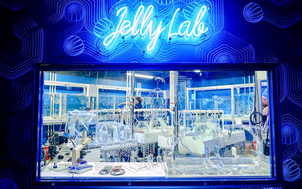Jelly Lab exhibit at SEA LIFE Melbourne showcasing jellyfish research and interactive displays.