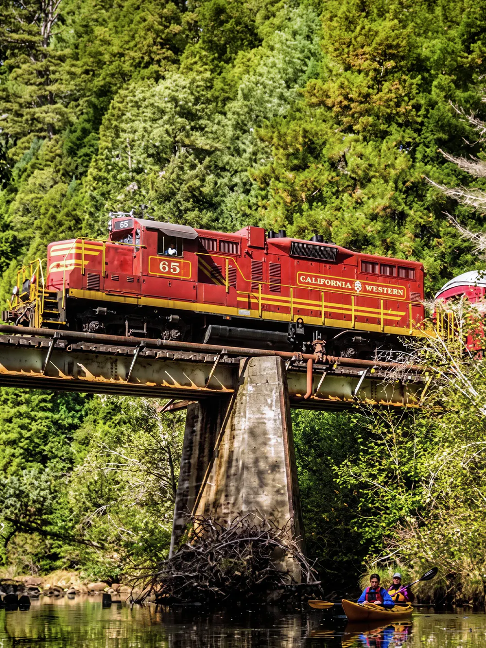 Circuits touristiques à bord du Skunk Train