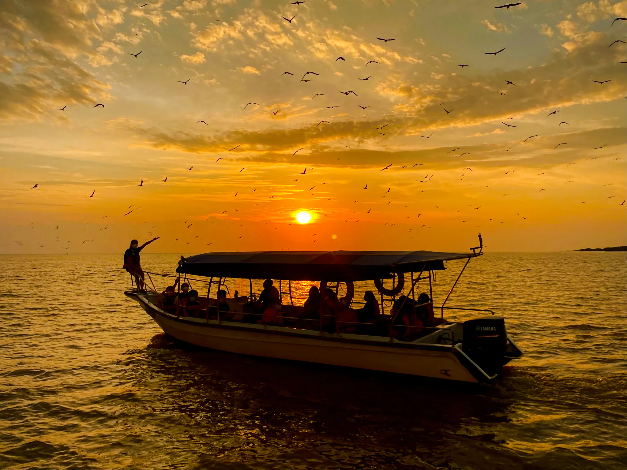 Eagle Watching, Fireflies, Blue Tears Experience in Kuala Selangor