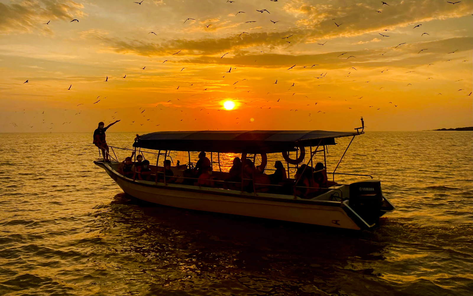 From Kuala Lumpur: Kuala Selangor Eagle-Watching, Fireflies and Blue Tears Tour (Product 54319)